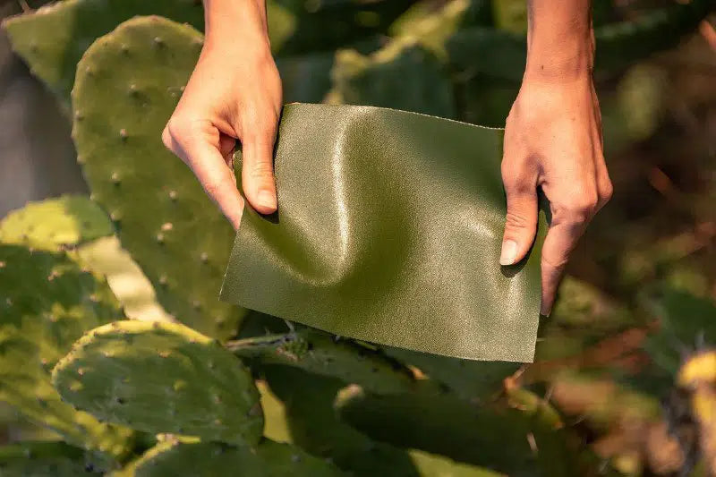 Applications of cactus leather
